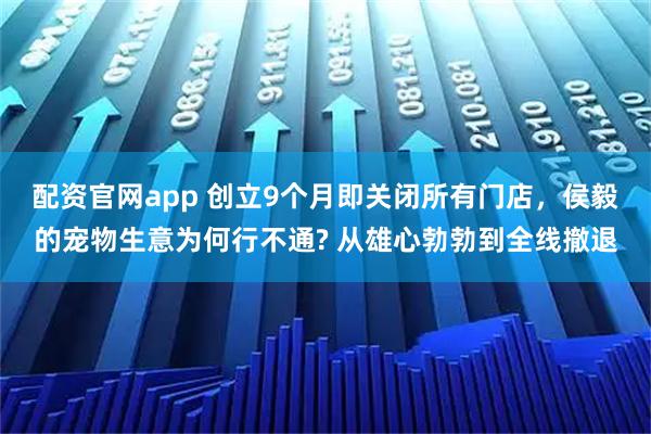 配资官网app 创立9个月即关闭所有门店，侯毅的宠物生意为何行不通? 从雄心勃勃到全线撤退