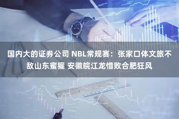 国内大的证券公司 NBL常规赛：张家口体文旅不敌山东蜜獾 安徽皖江龙惜败合肥狂风